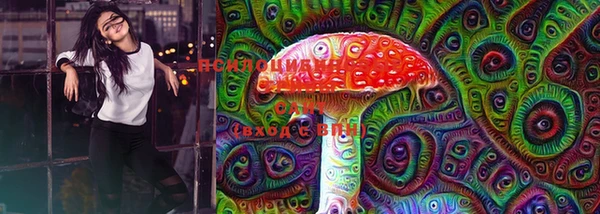 скорость Абаза