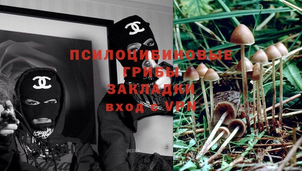наркотики Абинск