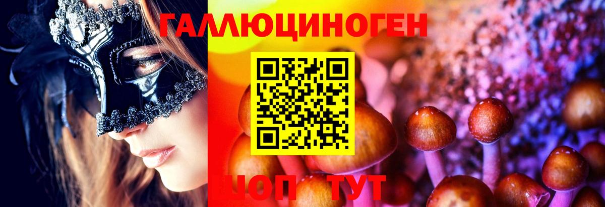Галлюциногенные грибы MAGIC MUSHROOMS  Вход с VPN  Рассказово 
